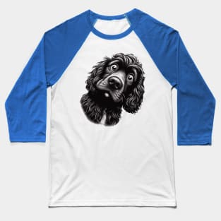 boykin spaniel confused Baseball T-Shirt